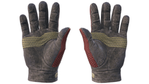 Dragon Fists image