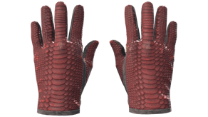 Dragon Fists image