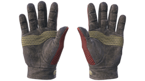 Dragon Fists image