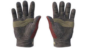Dragon Fists image
