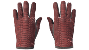 Dragon Fists image