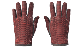 Dragon Fists image