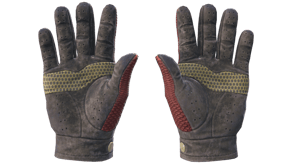 Dragon Fists image