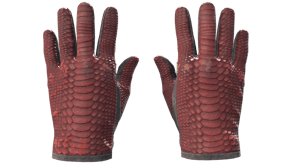 Dragon Fists image
