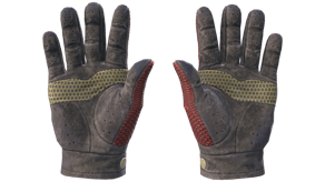 Dragon Fists image