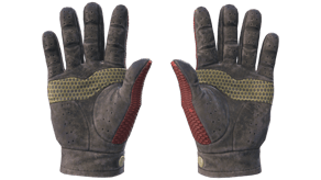 Dragon Fists image