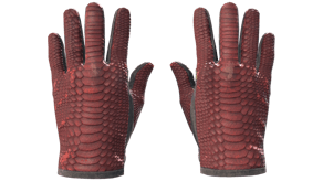 Dragon Fists image