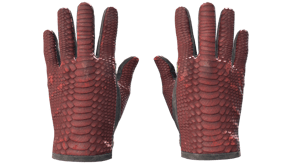 Dragon Fists image