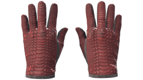 Dragon Fists image