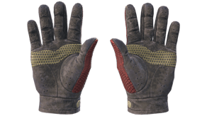 Dragon Fists image