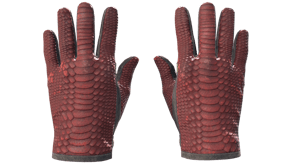 Dragon Fists image