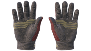 Dragon Fists image