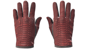 Dragon Fists image