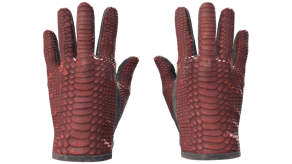 Dragon Fists image