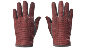 Dragon Fists image