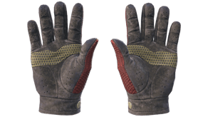 Dragon Fists image