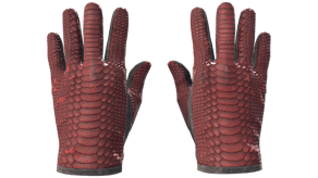 Dragon Fists image
