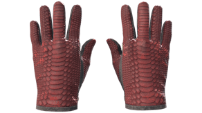 Dragon Fists image