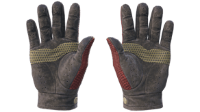 Dragon Fists image