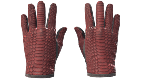Dragon Fists image