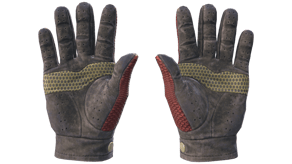 Dragon Fists image