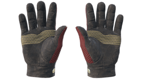Dragon Fists image
