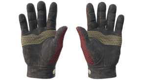 Dragon Fists image