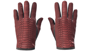 Dragon Fists image
