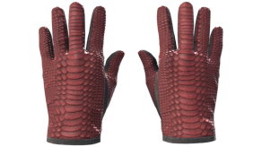 Dragon Fists image