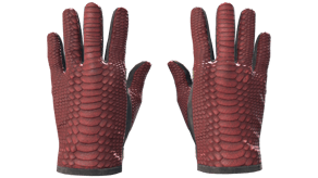 Dragon Fists image