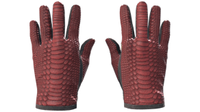 Dragon Fists image