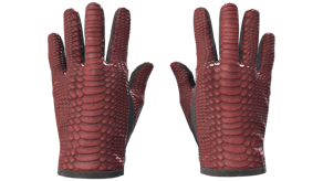 Dragon Fists image