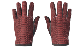 Dragon Fists image