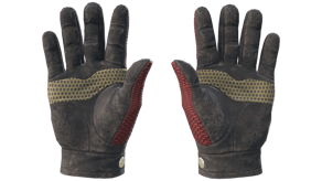 Dragon Fists image