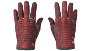 Dragon Fists image