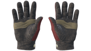 Dragon Fists image