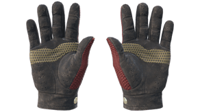 Dragon Fists image