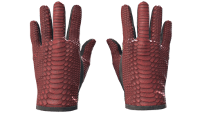 Dragon Fists image