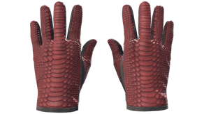 Dragon Fists image