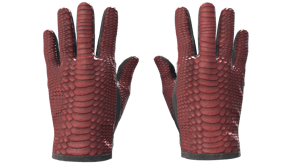 Dragon Fists image