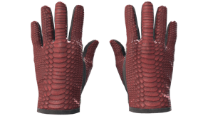 Dragon Fists image