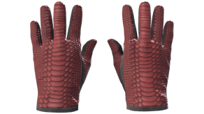 Dragon Fists image
