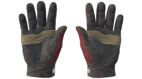 Dragon Fists image