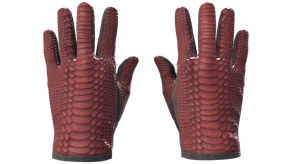 Dragon Fists image