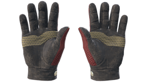 Dragon Fists image