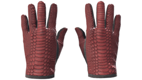 Dragon Fists image