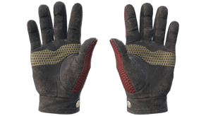 Dragon Fists image