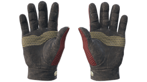 Dragon Fists image