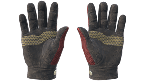 Dragon Fists image