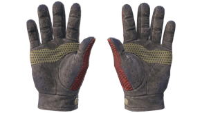 Dragon Fists image